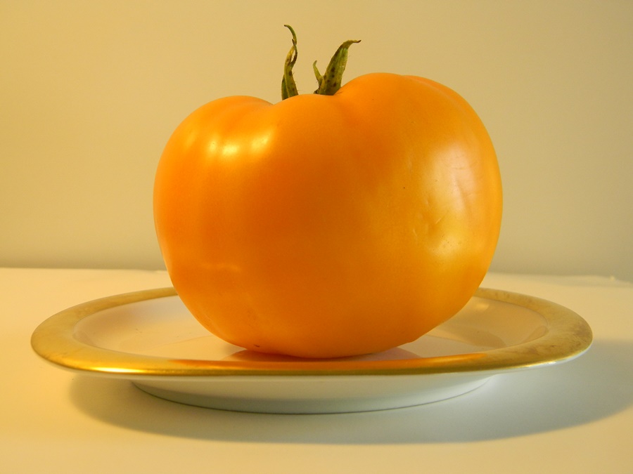 Yellow tomato from my garden