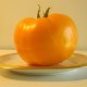 Yellow Tomato from successful garden Barry Sahagian